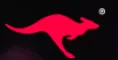 Logo KangaROOS