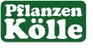 Pflanzen Kölle