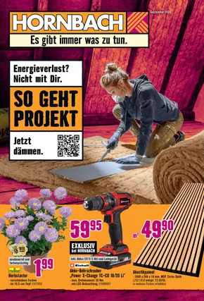 Hornbach Katalog in Schweich | Energieverlust? Nicht mit Dir. | 2025-02-25T00:00:00.000Z - 2025-03-11T00:00:00.000Z