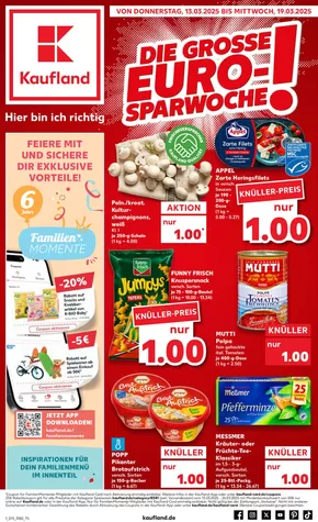 Kaufland Katalog in Böhlen (Leipzig) | Top-Deals und Rabatte | 2025-03-13T00:00:00.000Z - 2025-03-19T00:00:00.000Z